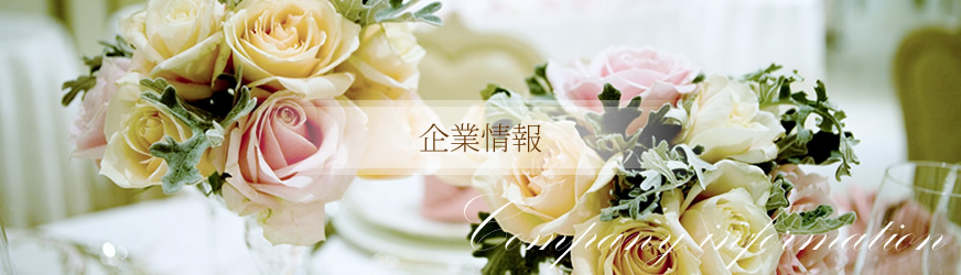 企業情報